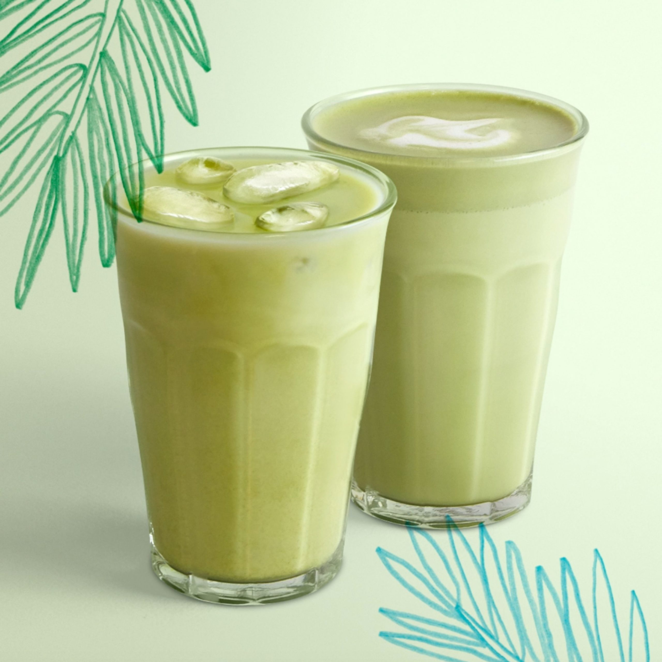 LE RETOUR DU COCO MATCHA POUR LA RENTRÉE !