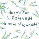 de rajouter du romarin à notre citronnade