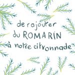de rajouter du romarin à notre citronnade