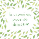 la verveine pour sa douceur