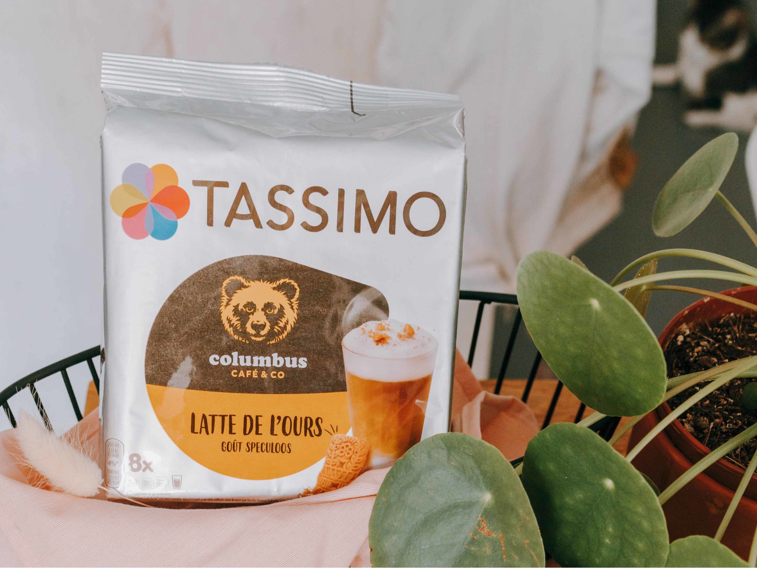 Latte de l'Ours Tassimo® x 16 – Columbus Café & Co