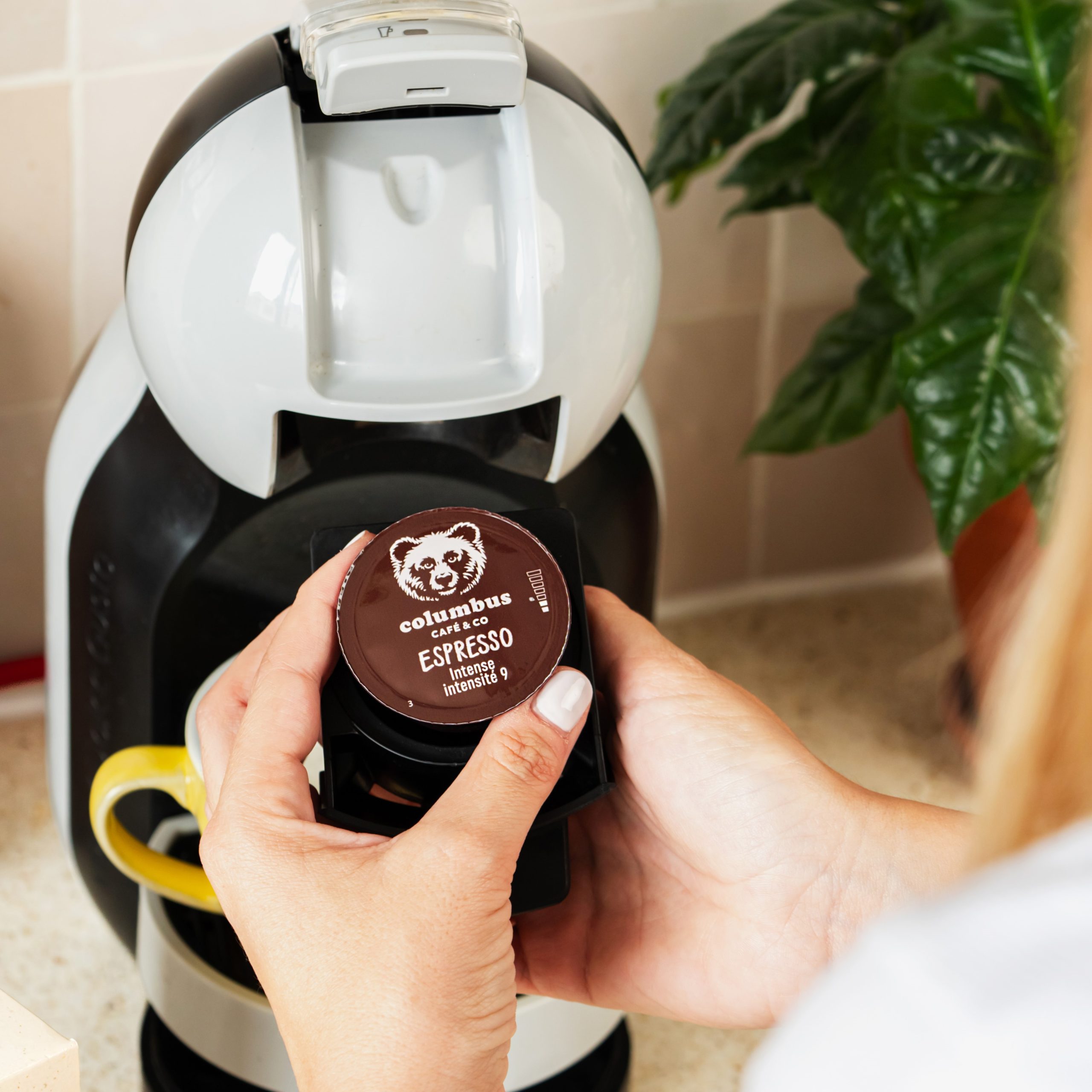 Le Café Latte saveur Vanille Macadamia Dolce Gusto® x 12 – Columbus Café &  Co