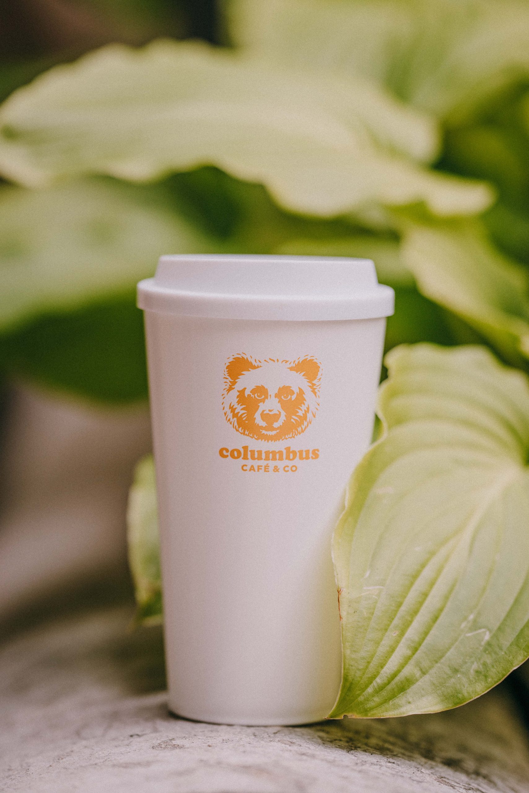 White Eco-cup blue bear