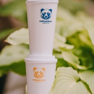 White Eco-cup blue bear