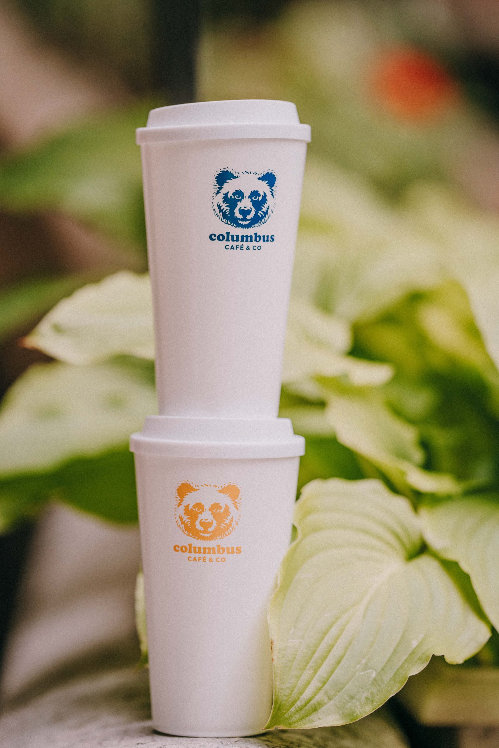 White Eco-cup blue bear