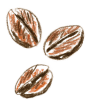 icon-coffee-beans
